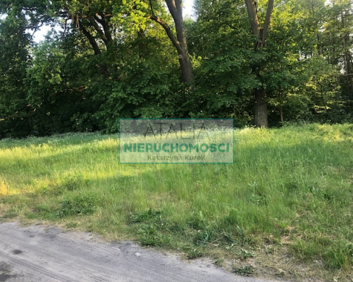Działka Sprzedaż Adamowizna