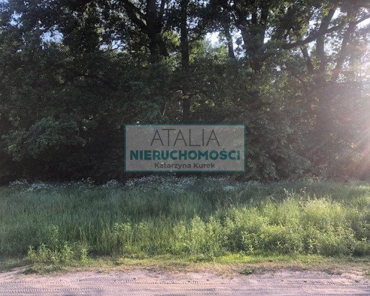 Działka Sprzedaż Adamowizna