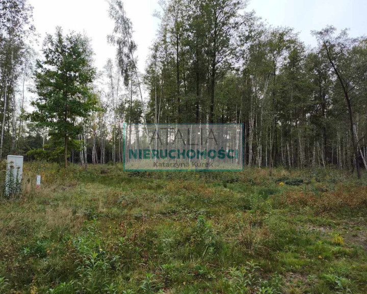 Działka Sprzedaż Czarny Las