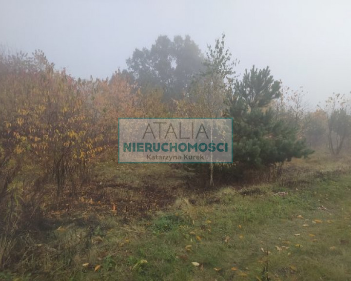 Działka Sprzedaż Kanie