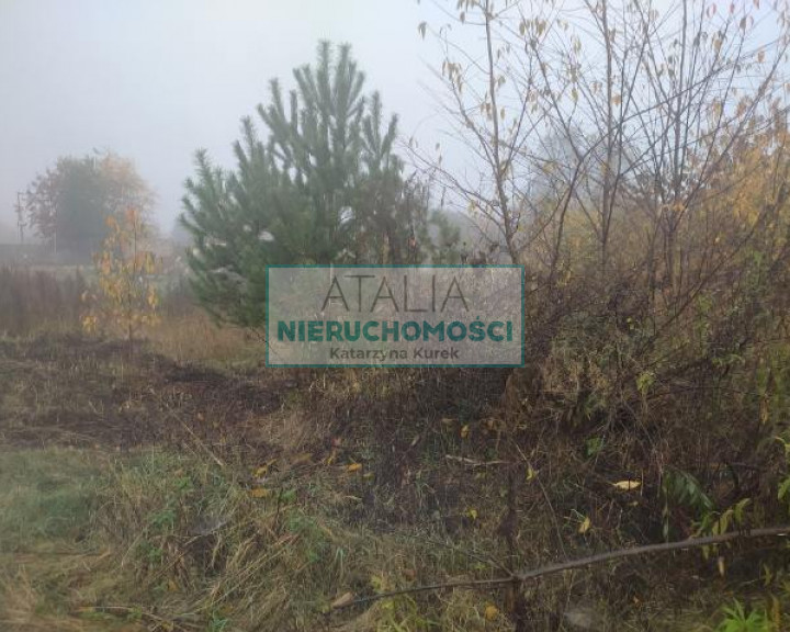Działka Sprzedaż Kanie