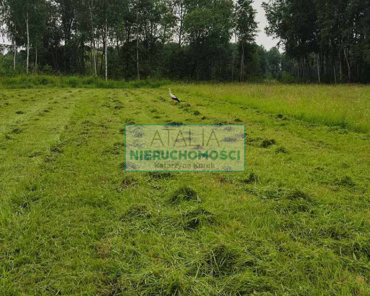 Działka Sprzedaż Kruszew