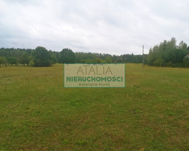 Działka Sprzedaż Radziejowice