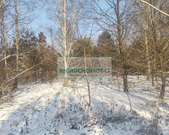 Działka Sprzedaż Osowiec