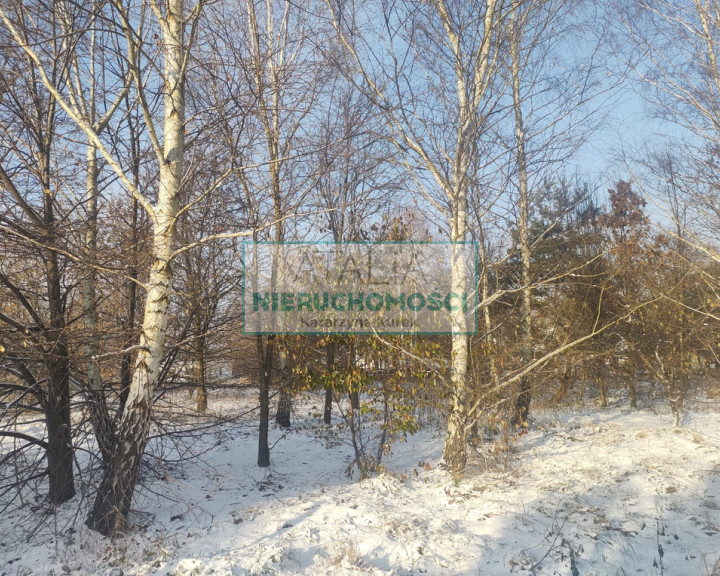 Działka Sprzedaż Osowiec