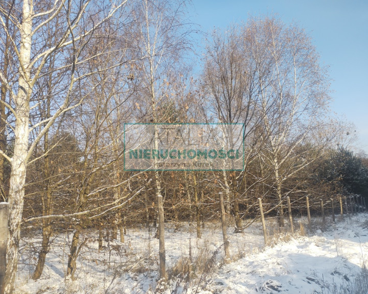 Działka Sprzedaż Osowiec