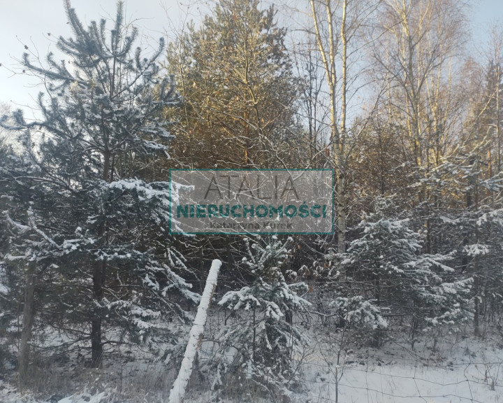 Działka Sprzedaż Osowiec