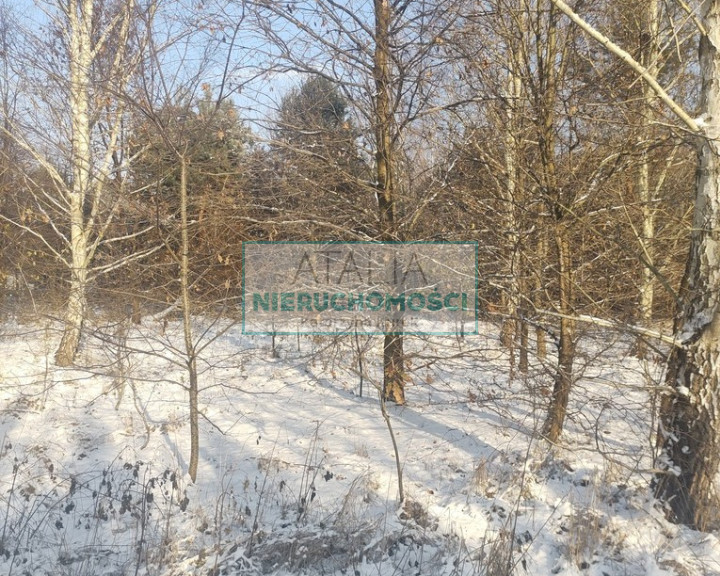 Działka Sprzedaż Osowiec