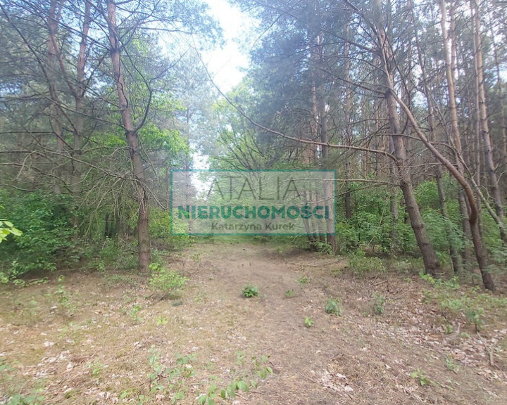 Działka Sprzedaż Książenice