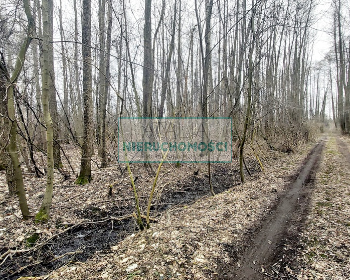 Działka Sprzedaż Korabiewice