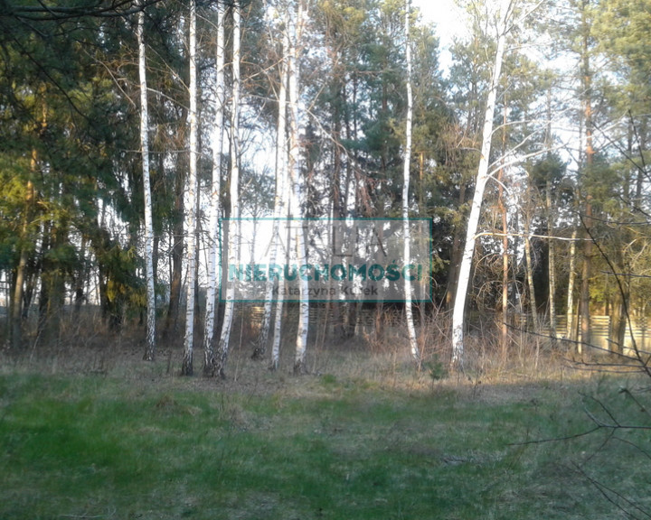 Działka Sprzedaż Bieniewiec