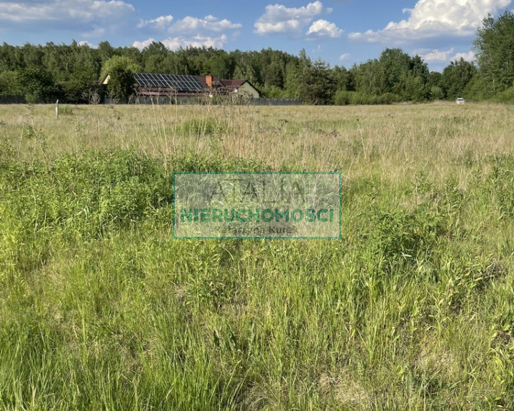 Działka Sprzedaż Stare Budy