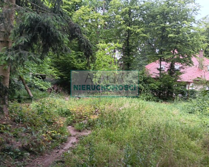 Działka Sprzedaż Podkowa Leśna