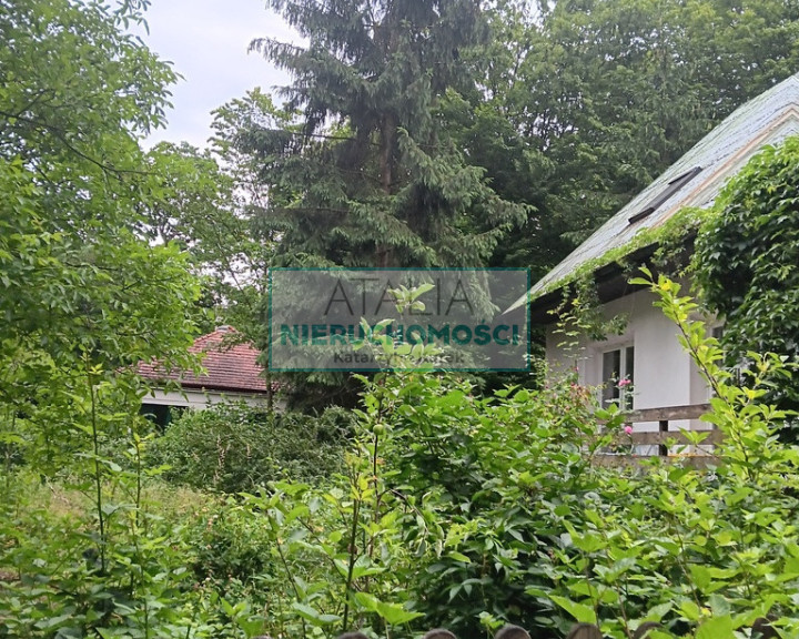 Działka Sprzedaż Podkowa Leśna