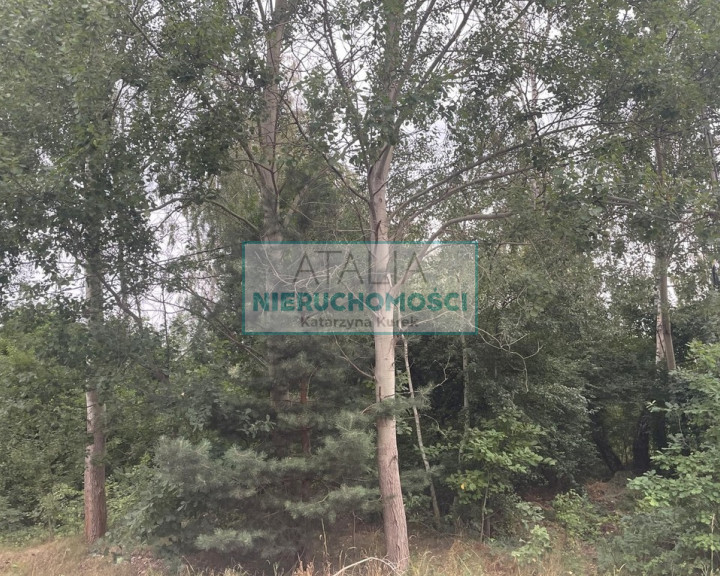 Działka Sprzedaż Zalesie